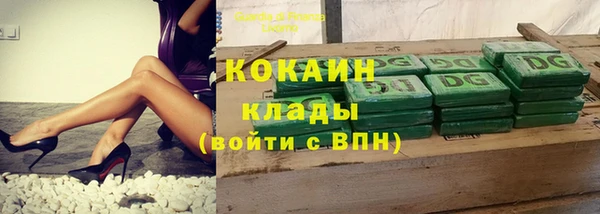 прущие грибы Богданович