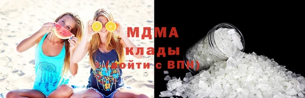 прущие грибы Богданович