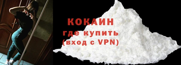 прущие грибы Богданович