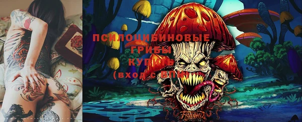 амфетамин Богородицк