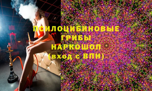 прущие грибы Богданович
