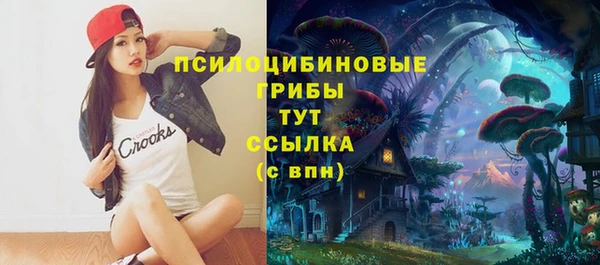 амфетамин Богородицк