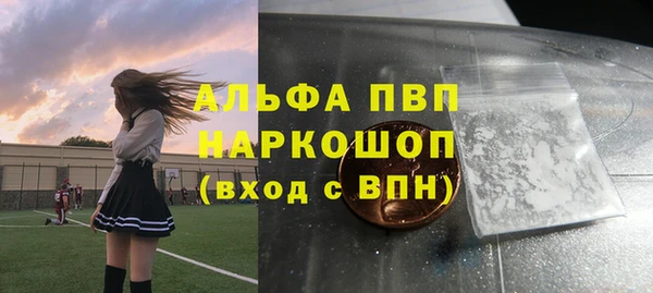 прущие грибы Богданович