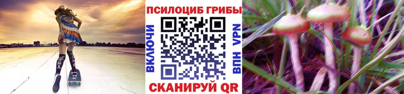 Галлюциногенные грибы Magic Shrooms Гаврилов-Ям
